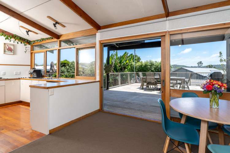 12 Park Drive Raglan_6