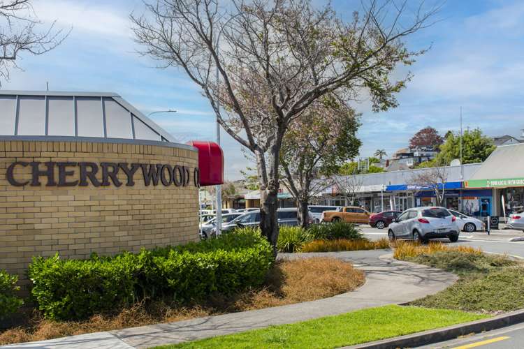 2 Chevron Drive Bellevue_18