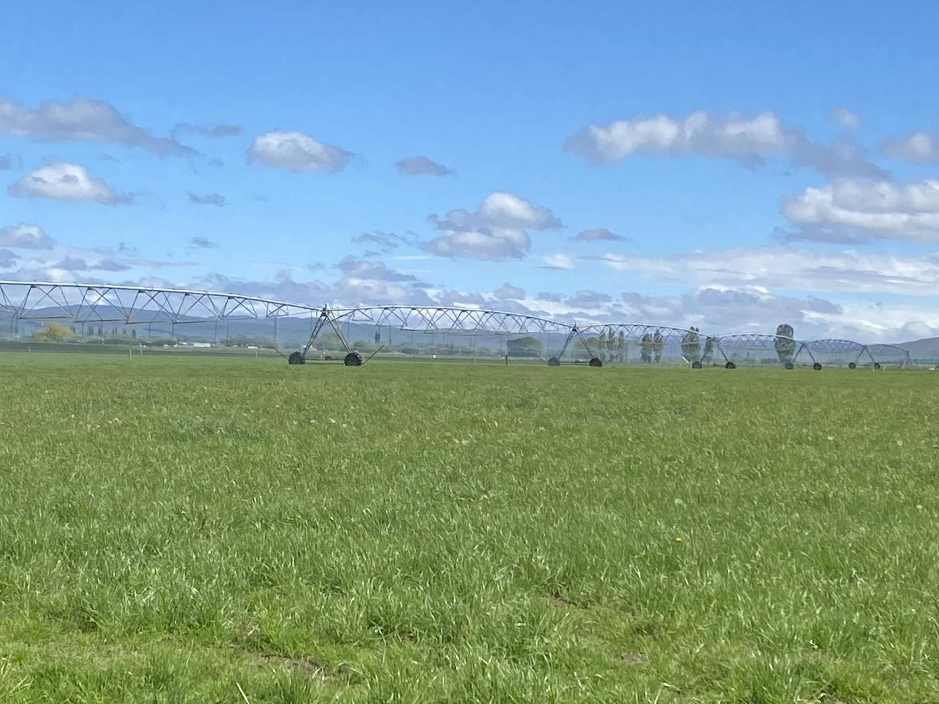 224 Auripo Road Poolburn_0