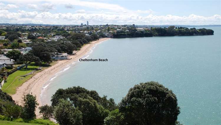 5 Morrison Avenue Narrow Neck_16