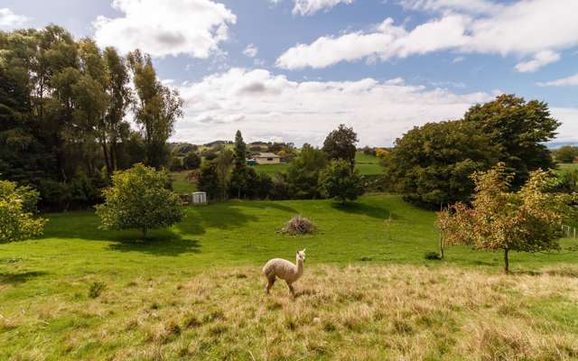 20 Lees Road Feilding_3