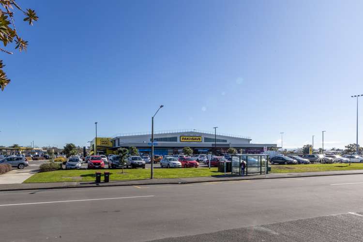 35 Bristol Street Tamatea_17