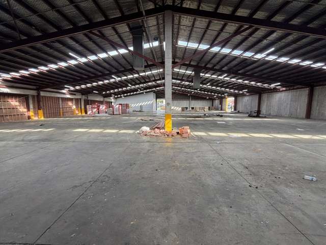 11 McDonald Street Morningside_1