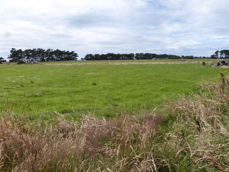 2 Wilson Road South Motu Rimu_9