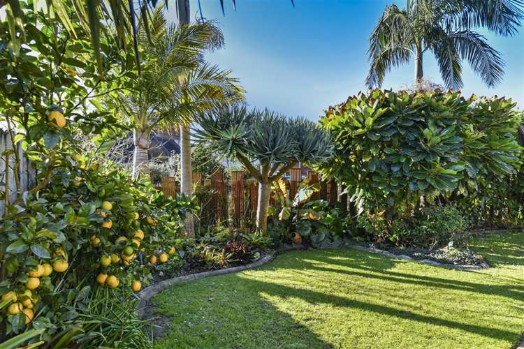 5 Starlight Cove Hobsonville_26