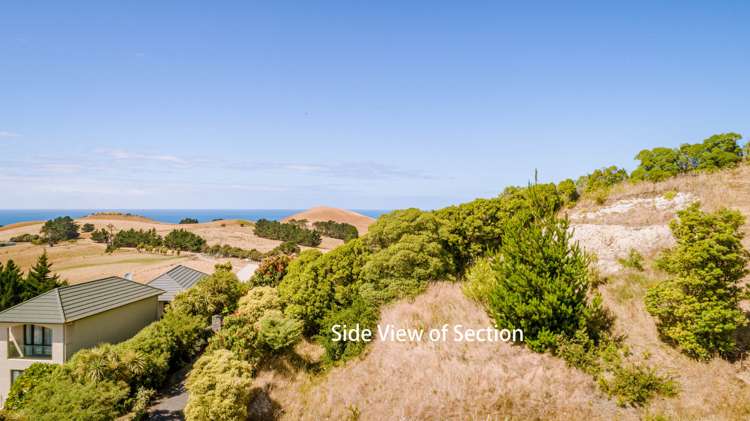 2 Lookers On Lane Kaikoura_10