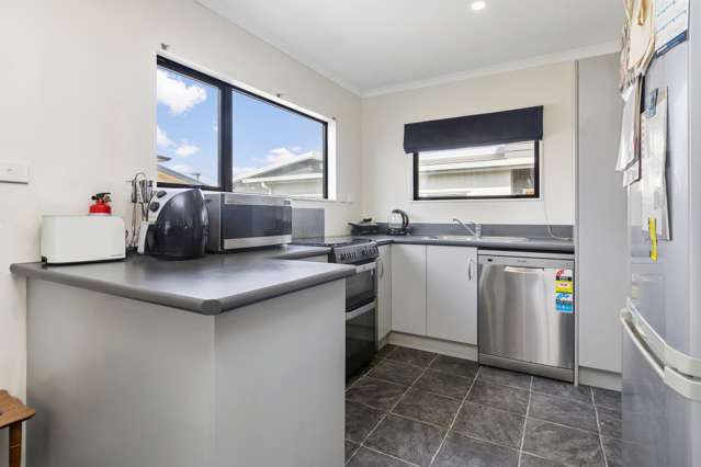 49a Tauhinu Road Miramar_4