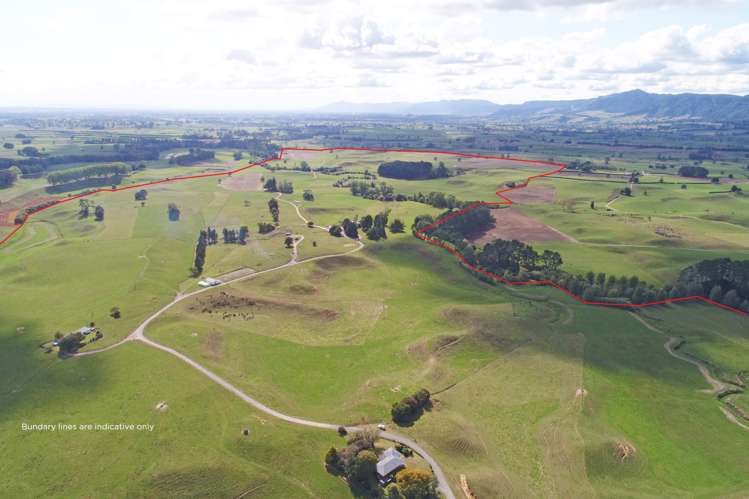 776 Kakahu Road Tapapa_0