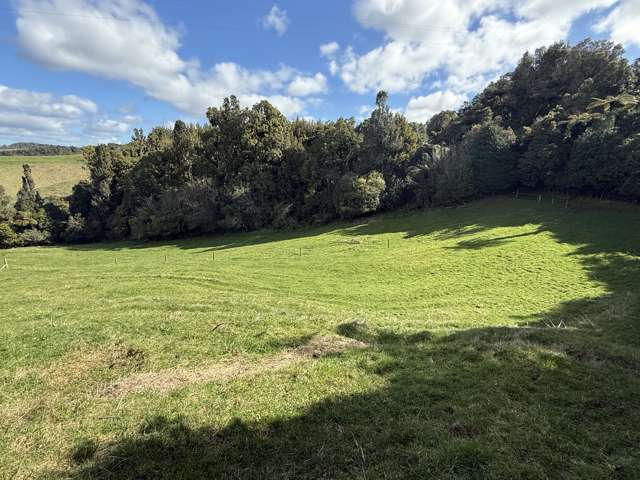 Mangati Road Puketotara_4