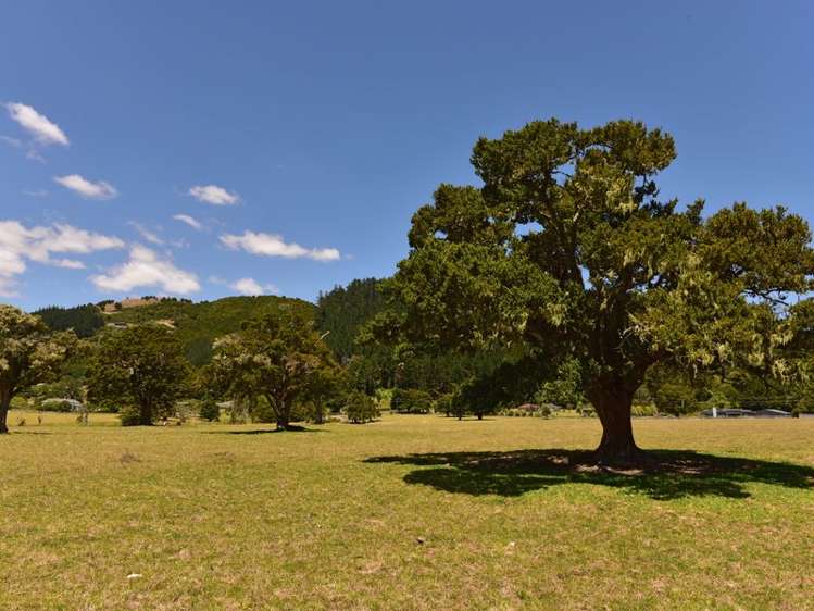 471 Crane Road Kauri_8