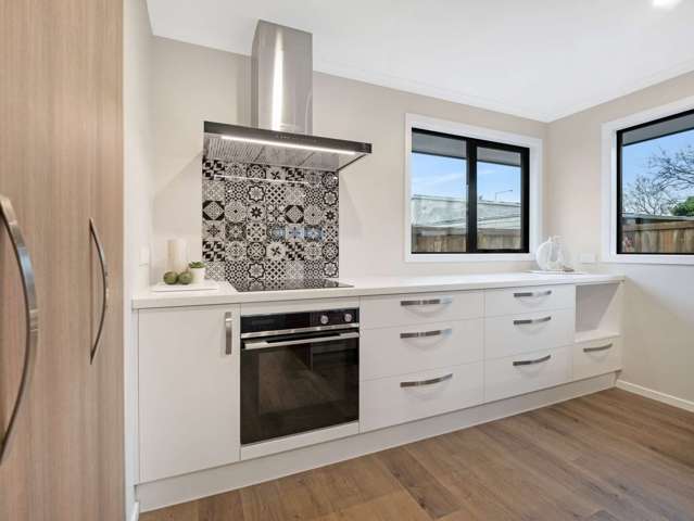 164a Chalmers Ave Ashburton_2