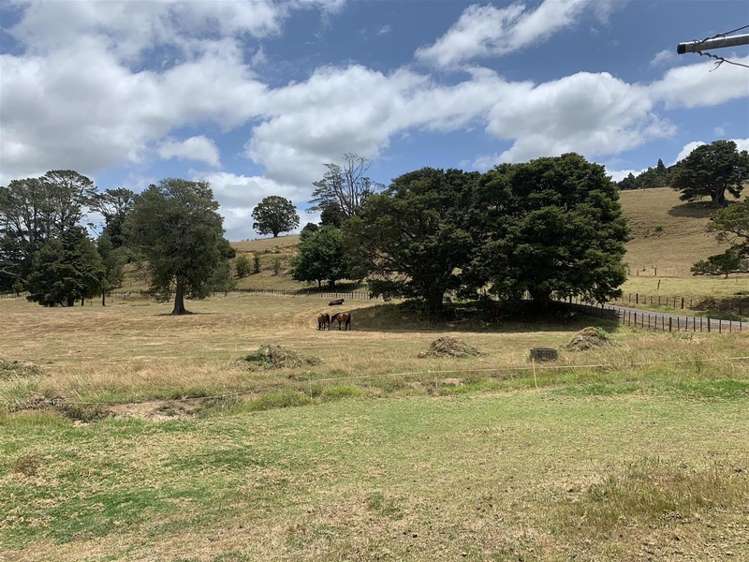 14 Kaiikanui Road Hukerenui and Surrounds_20