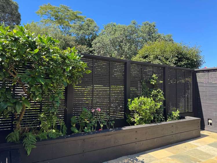 2/47 Vale Road Saint Heliers_2