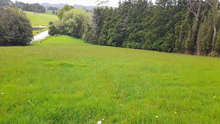 418 Martin Road Kaeo_34