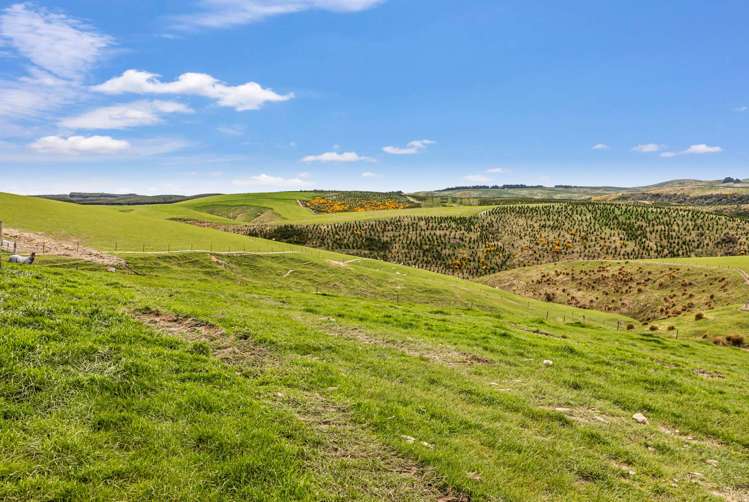 655 Rankleburn Road Tapanui_4