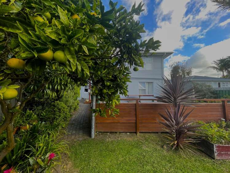 8 Divich Avenue Te Atatu South_26