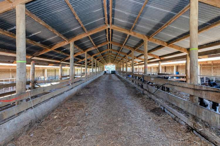 400 Partridge Road Wellsford_4