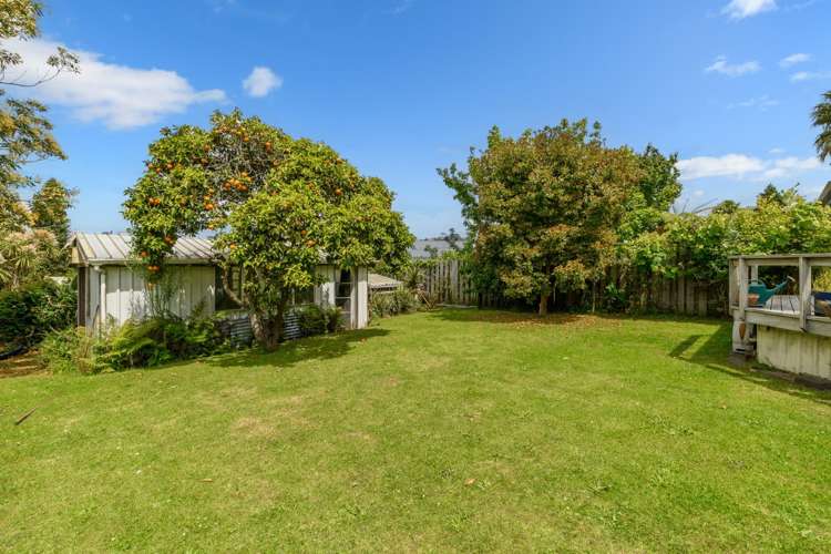 34 Botanical Road Tauranga South_4