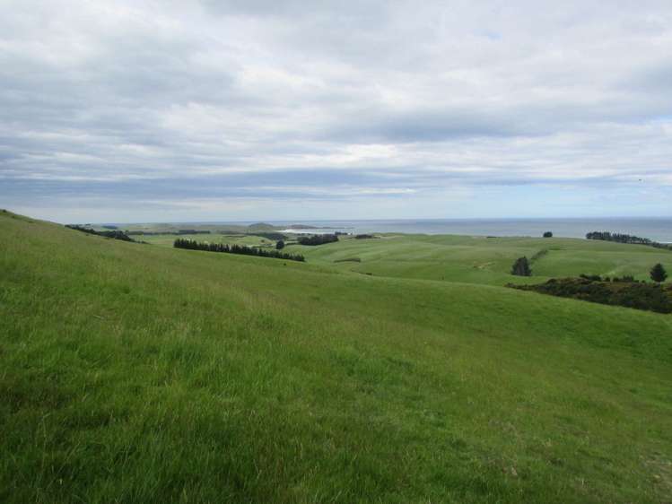 Horse Range Road Palmerston_13