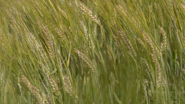 1231 Longbush Road Longbush_2