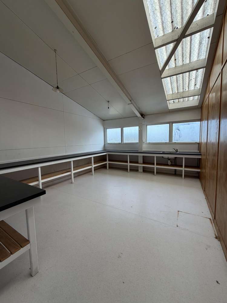 58 Frost Road Mount Roskill_10