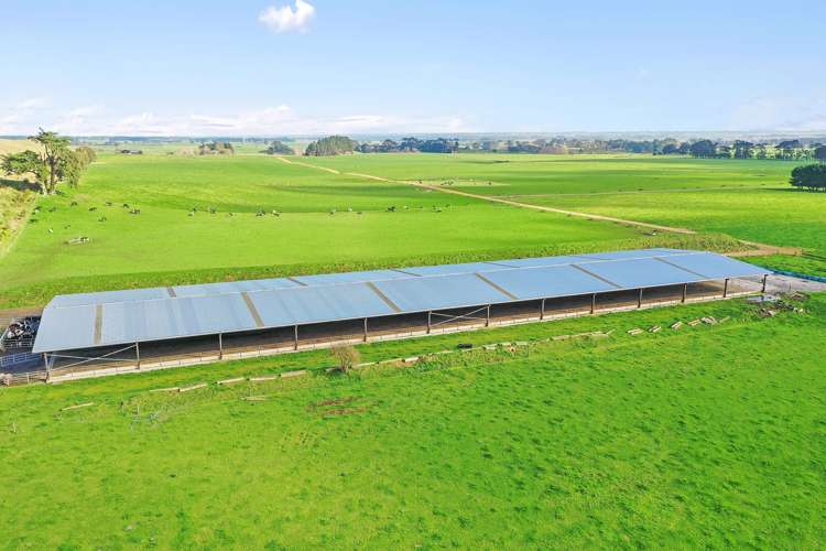 312 Hewitts Road Linton_5