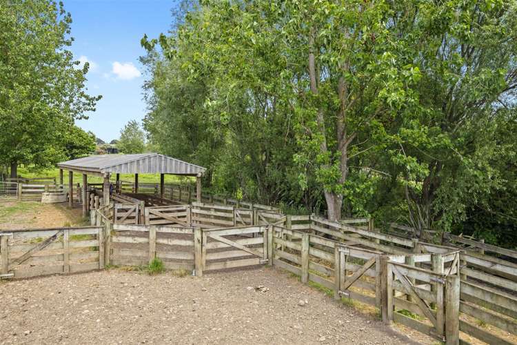 200 Highway 22 Pukekawa_31