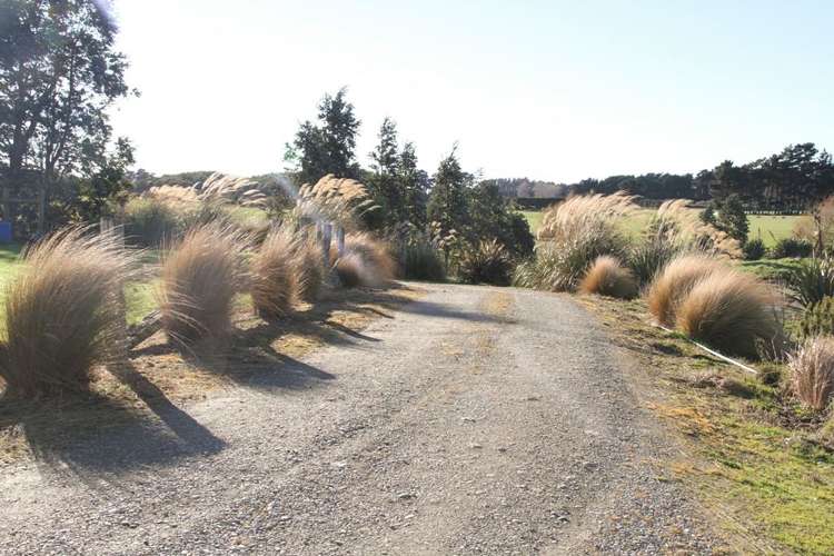 228e Roslyn Road Roslyn Bush_24