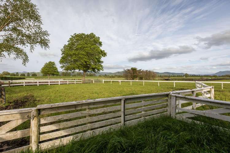 108 Old Netherton Rd Netherton Paeroa Paeroa_31