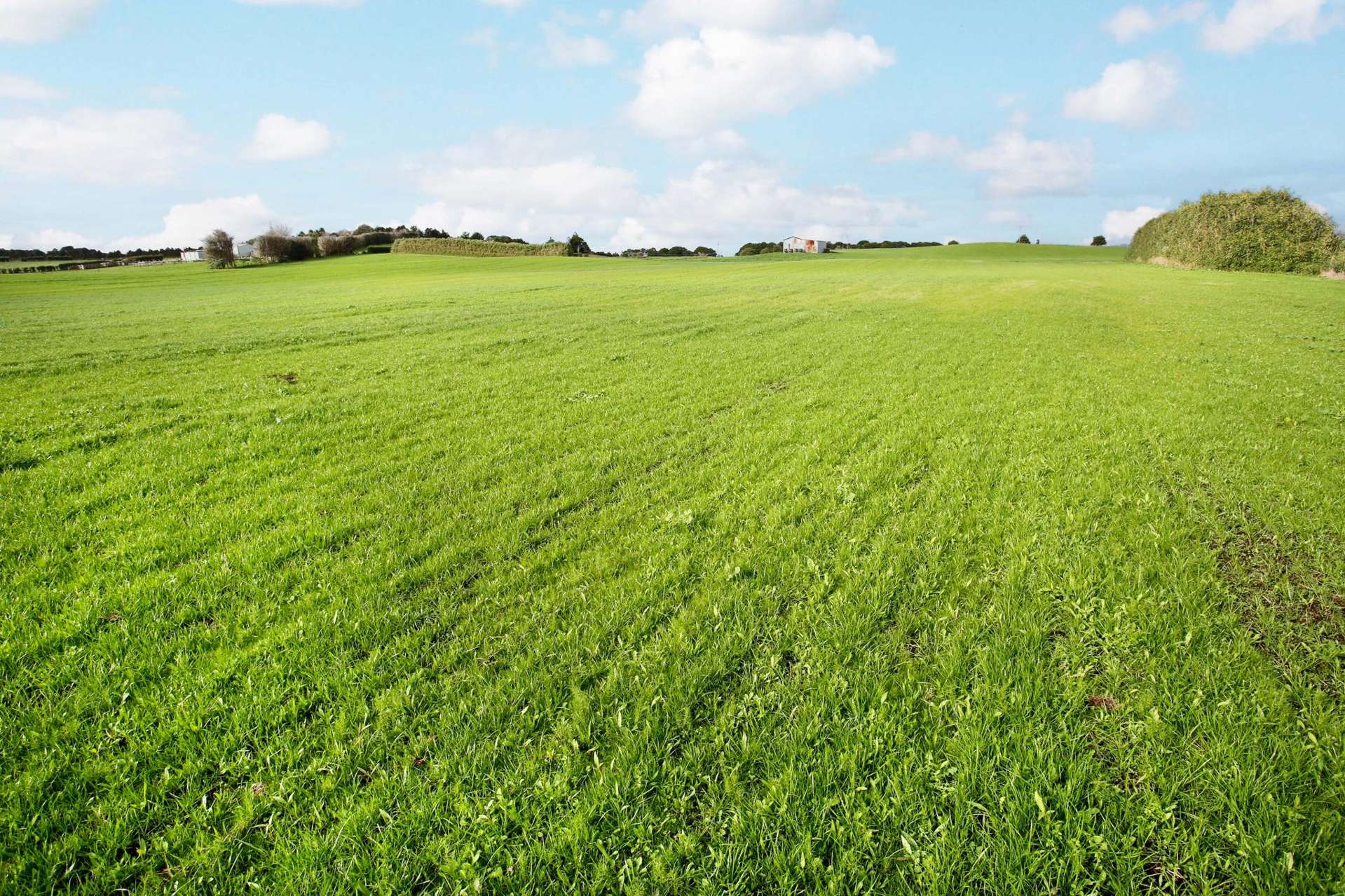 142 Hutchings Road Waiuku_0