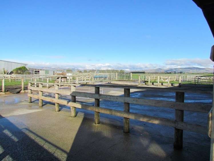 192 Riversdale Pyramid Road Riversdale_5