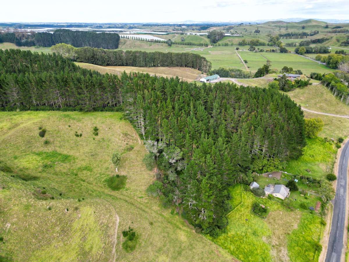 1/461 Otamarakau Valley Road_5