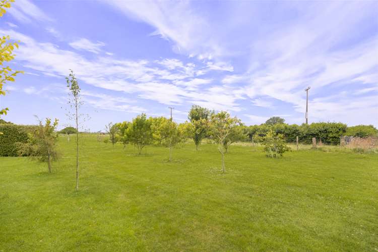 353 Piako Road Gordonton_18