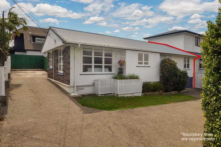 1/12 Piccadilly Place Kohimarama_17