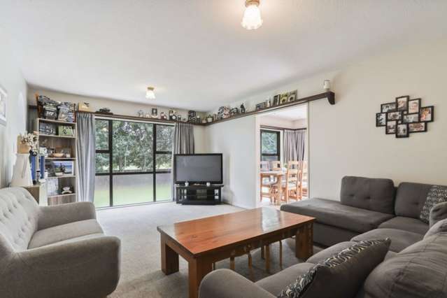 8 Smarts Drive Leithfield_2