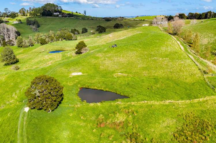 118 Paparoa Station Road Paparoa_6