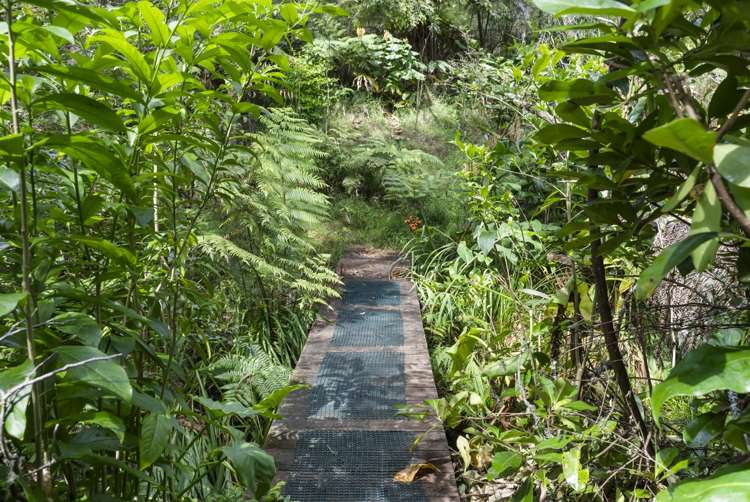 126 Candia Road Henderson Valley_38