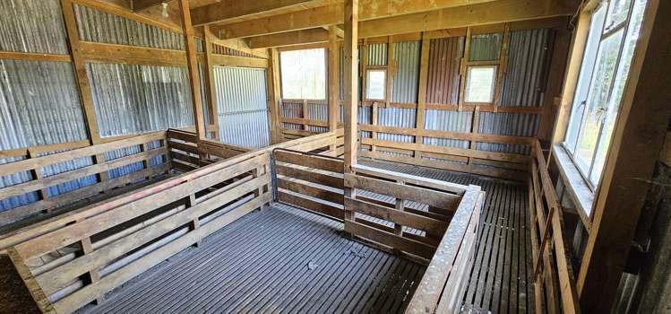 1216 Waimumu Road Waimumu_9