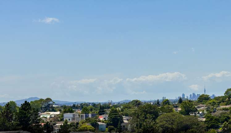 10 Blewitt Court Swanson_3