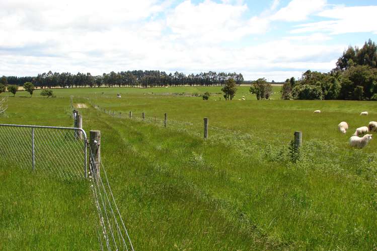 493 Rakahouka Hedgehope Road Winton Surrounds_16