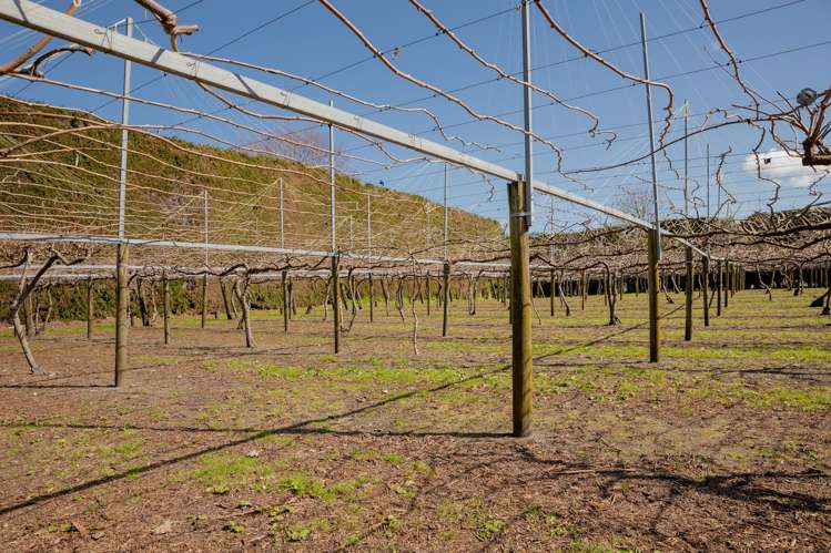 26 Cheetham Avenue Te Puke_23