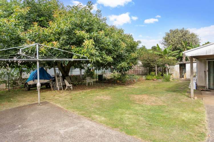 19 Peet Avenue Royal Oak_9