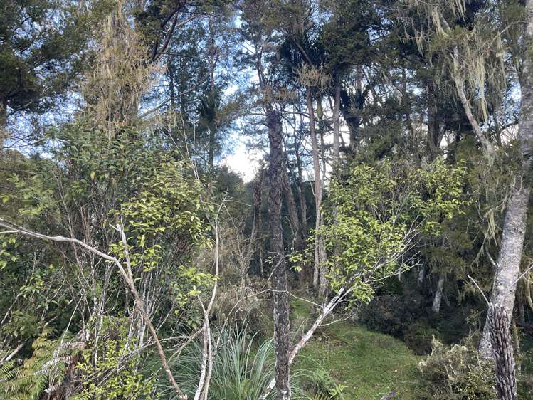 Horeke Road Horeke_10