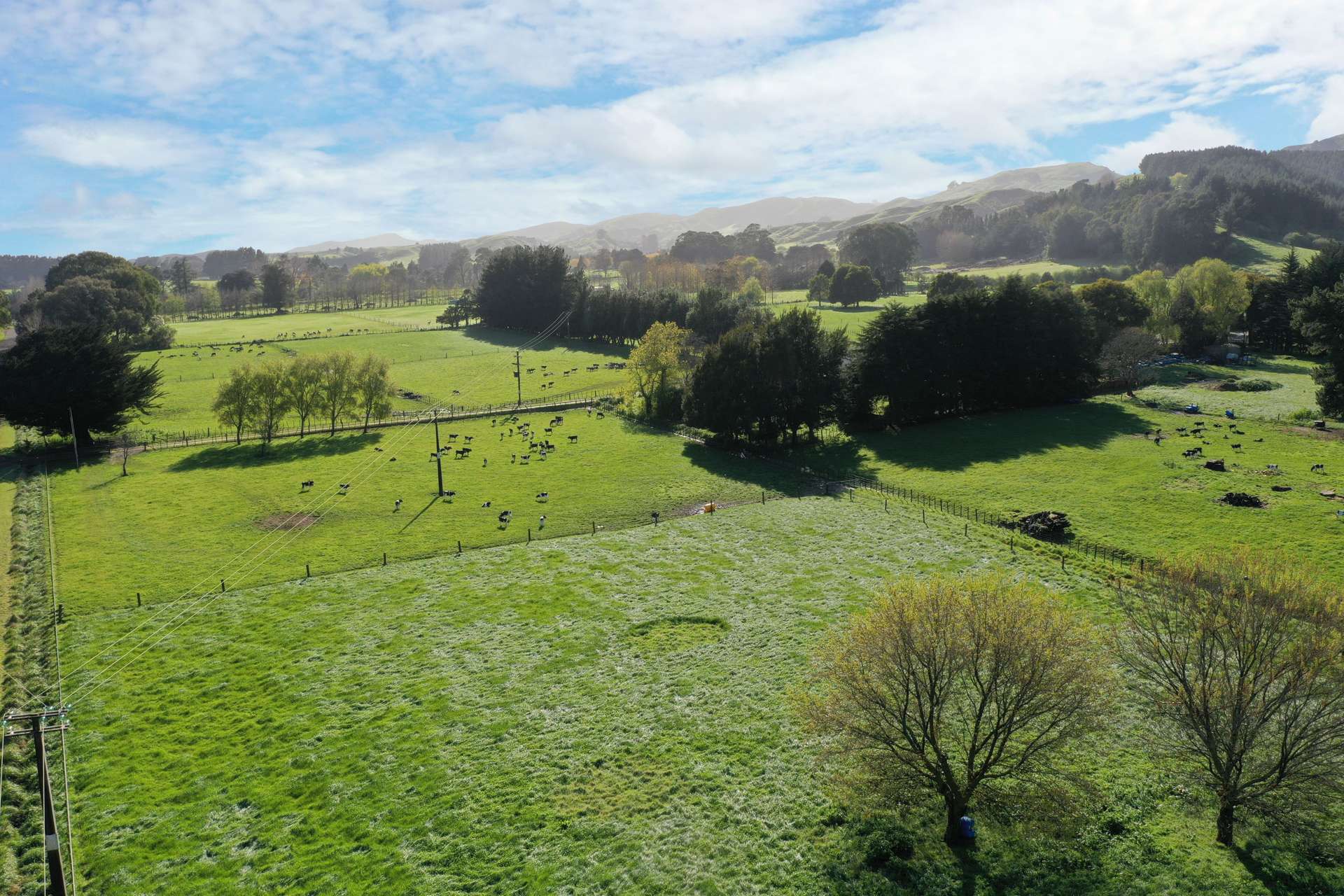 78 Waituna Road Pahiatua_0