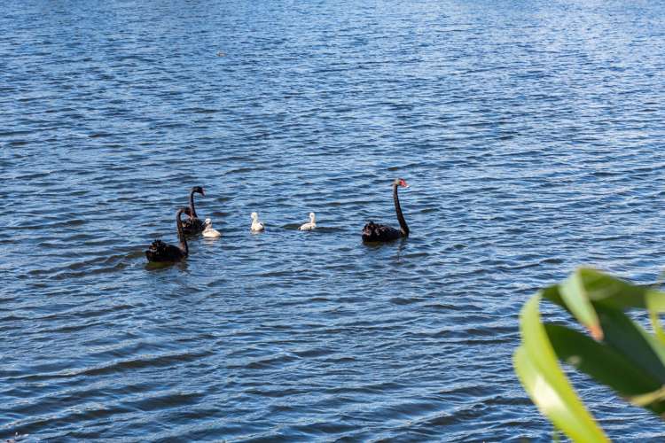 32 Robert Hastie Drive, The Sanctuary Mangawhai_15