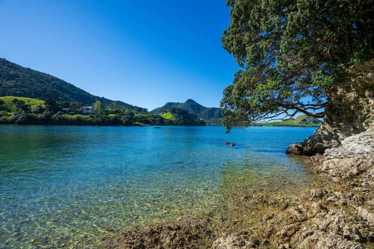 2408 Whangarei Heads Road Whangarei Heads_23