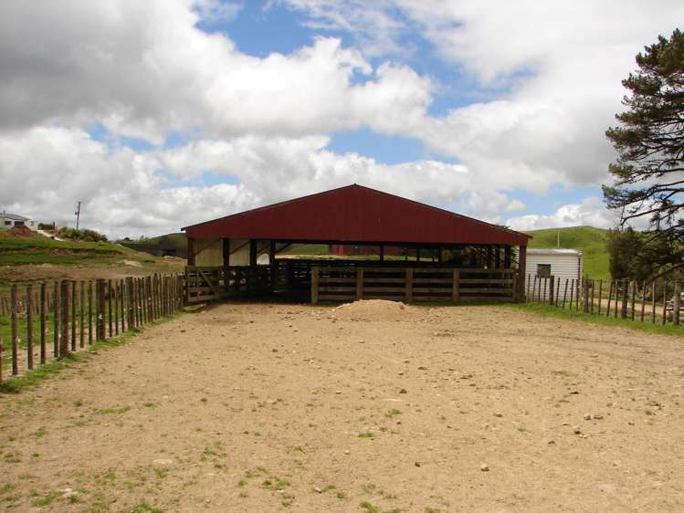 Mahoe Road Waitomo_12