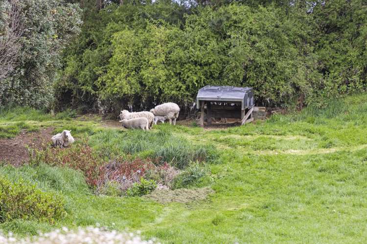 197b Turuturu Road Hawera_28