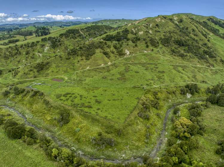 851 Awamate Road Frasertown_11