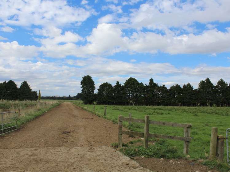 268 Ngamoko Road Norsewood_12